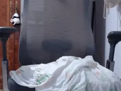 Amateur Best Webcam of AustinBreaker