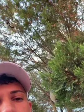 Cam4 Sex Cam of Dolarboy