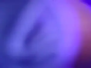 Cam4 Adult Webcams of Frabroker