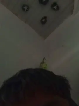 Cam4 Best live sex cam show of Novinhogtz18y